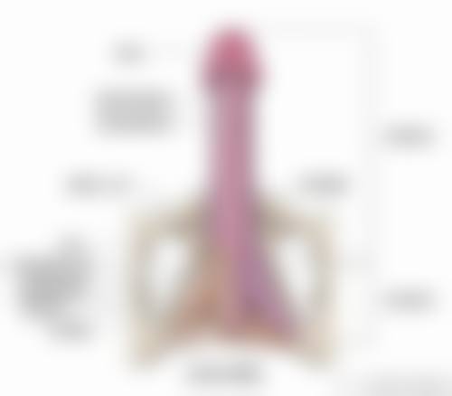 五、厦门李强美丽薇医疗美容价格表