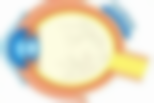 一、小孩子有黑眼袋的原因分析