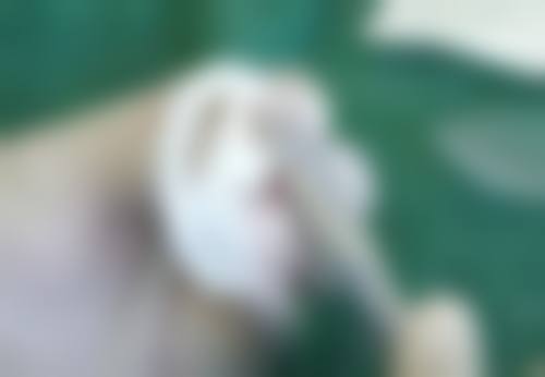 二、上海百汇医疗美容医院怎么样？