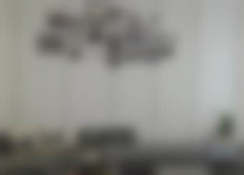 二、于德印擅长项目