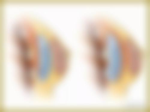 二、王贵贤擅长项目