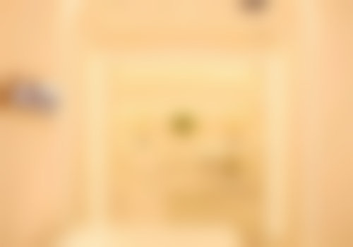 二、许津津擅长项目