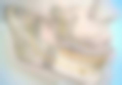 五、术后修复情况及注意要点