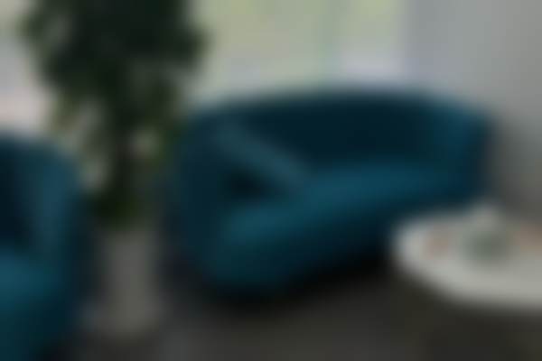 五、金志昱怎么预约？