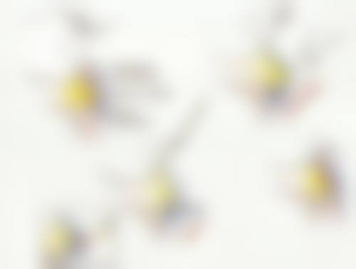 二、北京天琦医疗美容诊所怎么样？