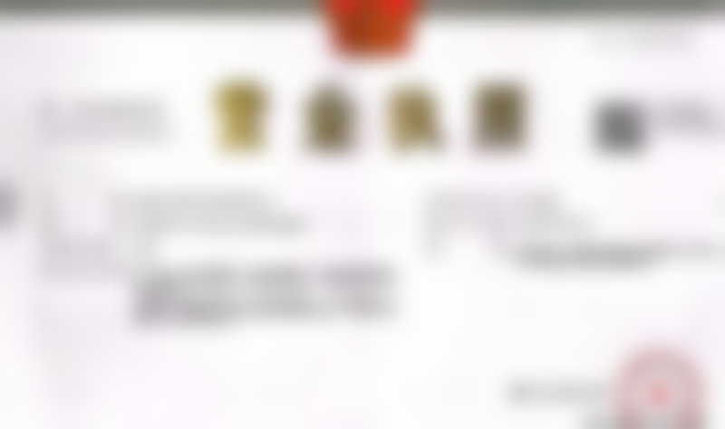 三、宗炜技术优势