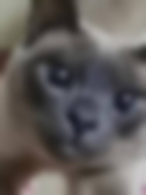 四、韩国Trueman男科医院特色项目