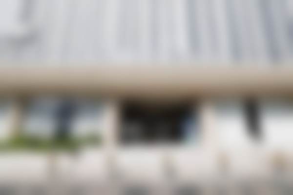 三、蔡国威技术优势