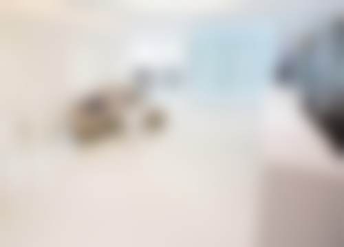 三、汤月碧技术优势