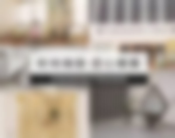 三、程国芳技术优势