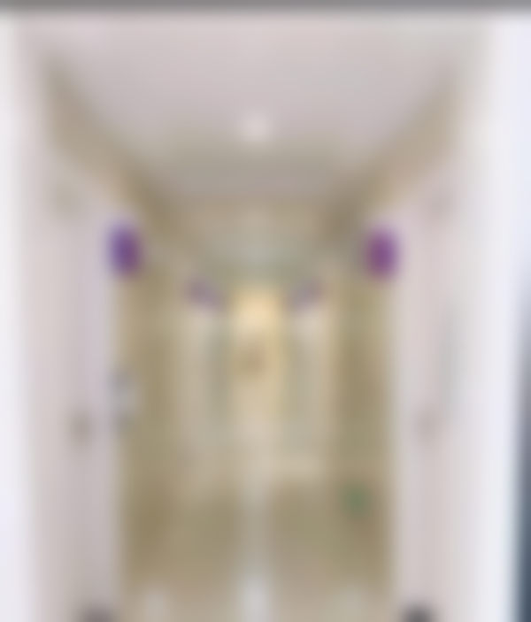 二、程国芳擅长项目