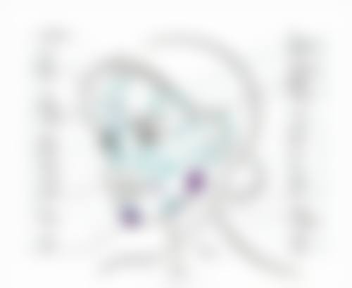 一、隆鼻膨体基本介绍