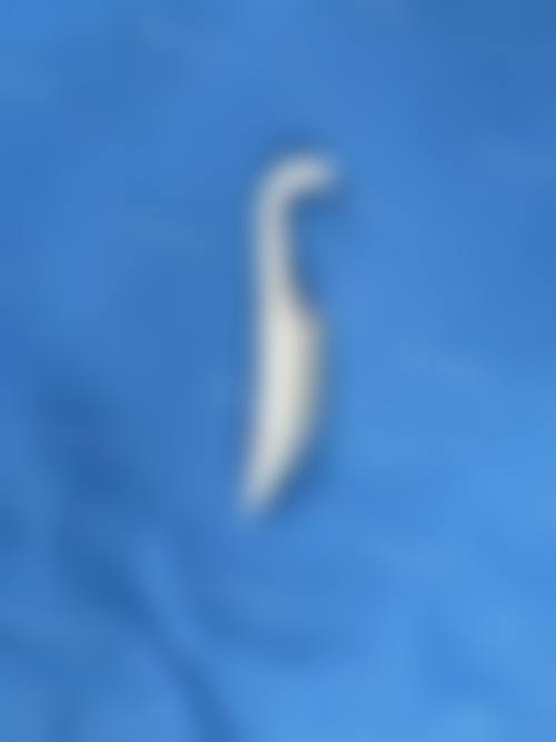 二、东胜百达丽整形医院怎么样？