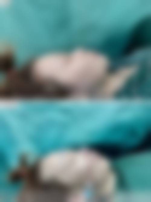 三、东胜百达丽整形医院诊疗项目有哪些？