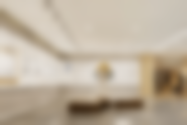 三、袁文华相关多领域经营主体信息