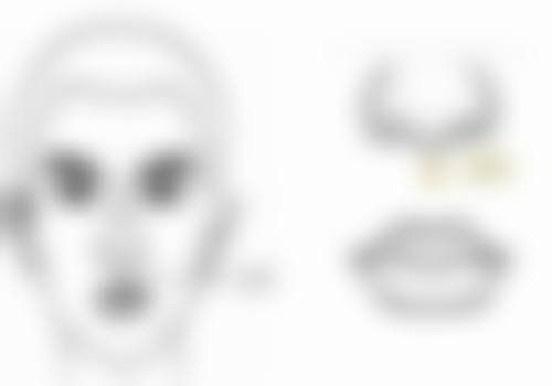 二、李光虎擅长项目