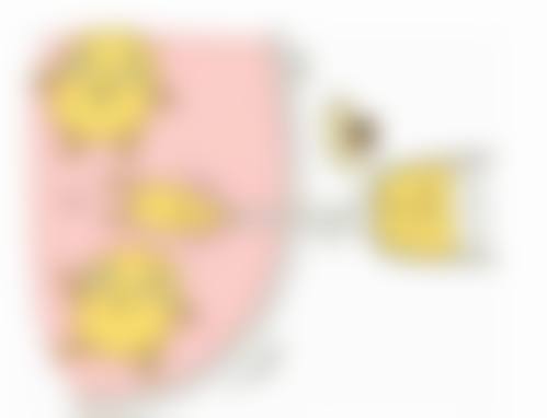 五、不同术式对比下割眼袋和割双眼皮哪个修复的快