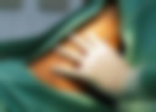 二、宋志刚擅长项目