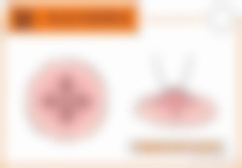 三、金华熙颜美学整形医院诊疗项目有哪些？