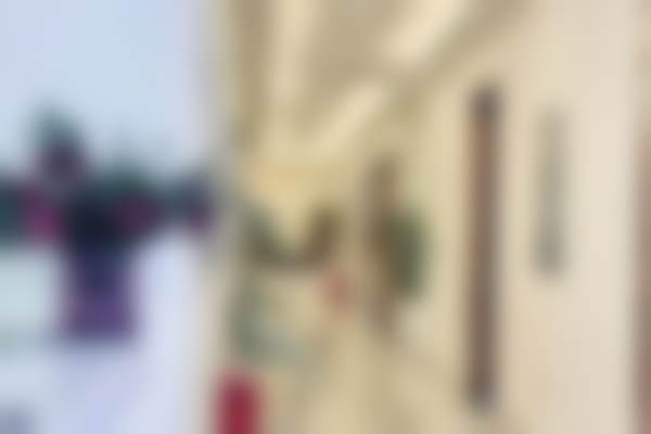 三、许津津技术优势