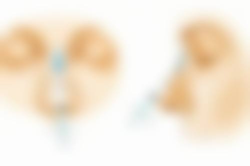 瘦脸针80单位够打两边吗？与100单位对比为你揭晓咬肌注射剂量真相 