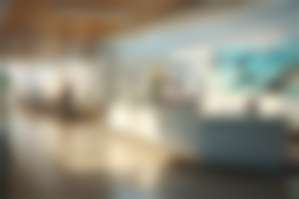 二、韩晓庆擅长项目