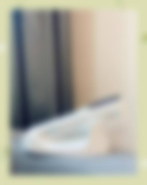 二、朱仪谨擅长项目