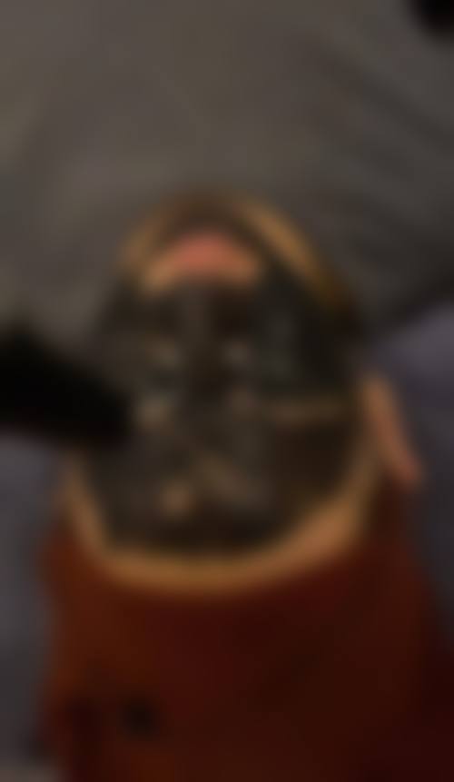 四、朱仪谨收费价格表