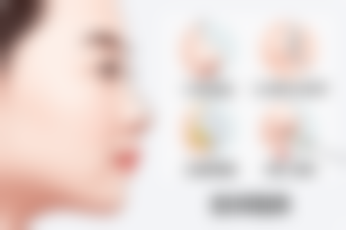 二、刘晓燕擅长项目