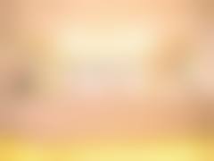 三、黄迎玉技术优势