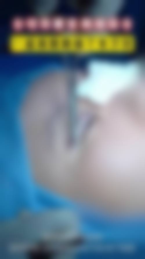 二、杨吉擅长项目