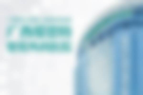 二、林秀莲擅长项目