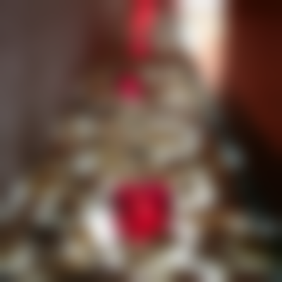 二、董钦晓擅长项目