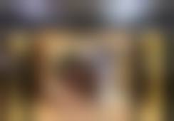 三、刘雪技术优势