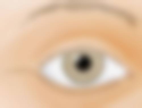 三、许昌正美韶华医疗整形相关项目