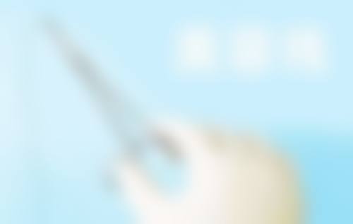 三、周亚萍技术优势