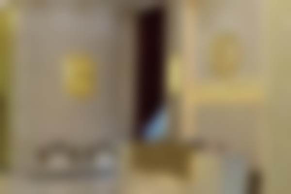 二、李元全擅长项目