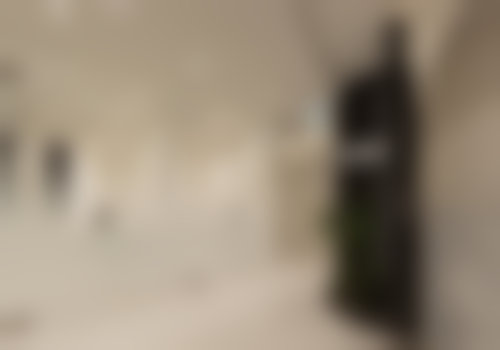 七、韩国TATOA皮肤科（江南店）预约方式