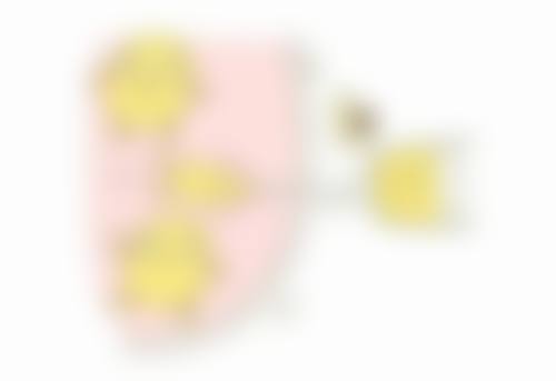 三、线提升隆鼻歪了的修复方案选择