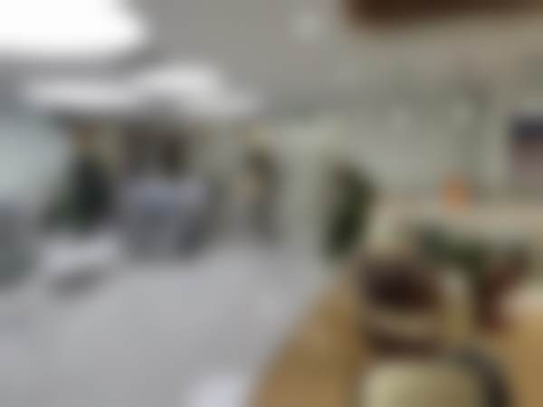 二、孟怀利擅长项目