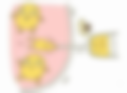 五、术后管理要点