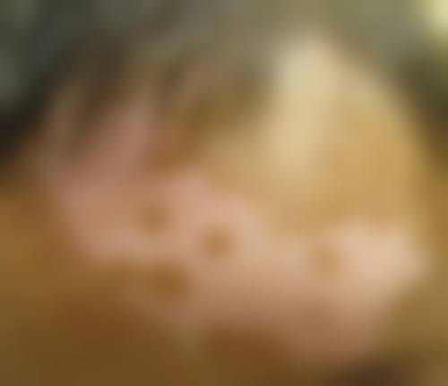 二、李光农擅长项目