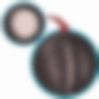 四、武汉现代女子妇科医院整形美容中 心特色项目