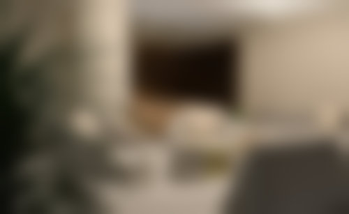 二、苗瑞龙擅长项目