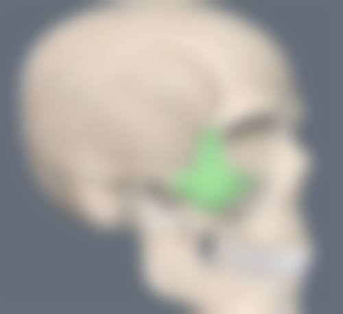 二、切开法——适合各种眼皮类型的持久之选