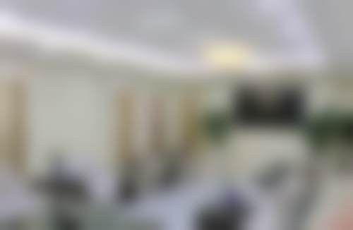 二、李桂梅擅长项目