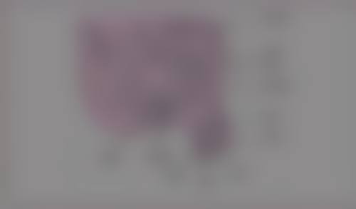 五、美学提示与心理调节