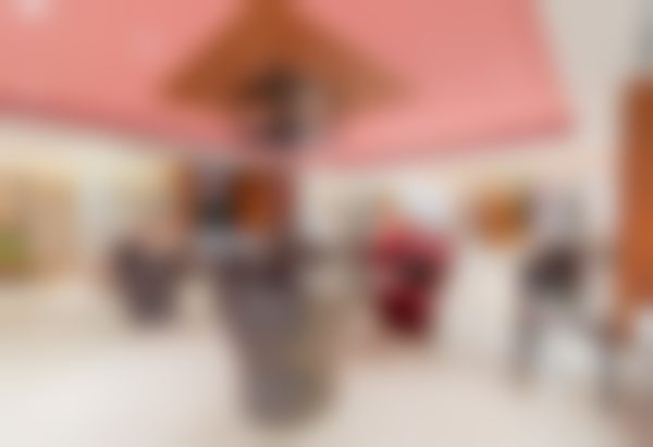 五、医院的其他优势及相关项目