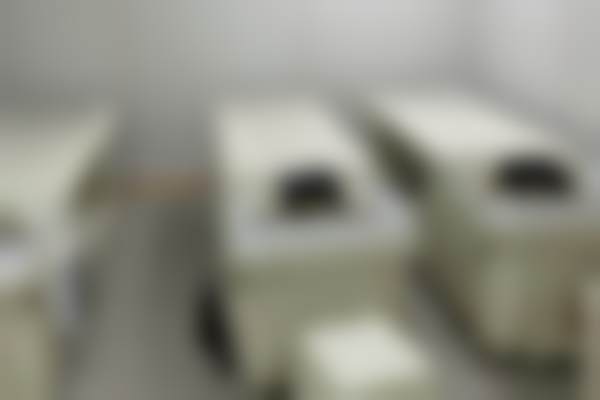 二、罗羲擅长项目