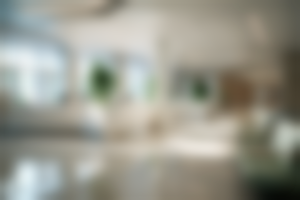 三、罗羲技术优势